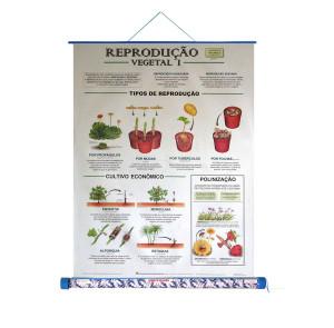 Reprodução Vegetal I - Embalagem unipak 