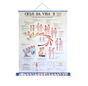 Ciclo da Vida II - Embalagem unipak 