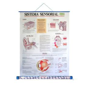 Sistema Sensorial - Embalagem unipak 