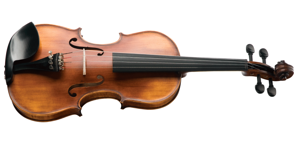 LINHA ÉBANO SERIES Violino 4/4 - VNM49