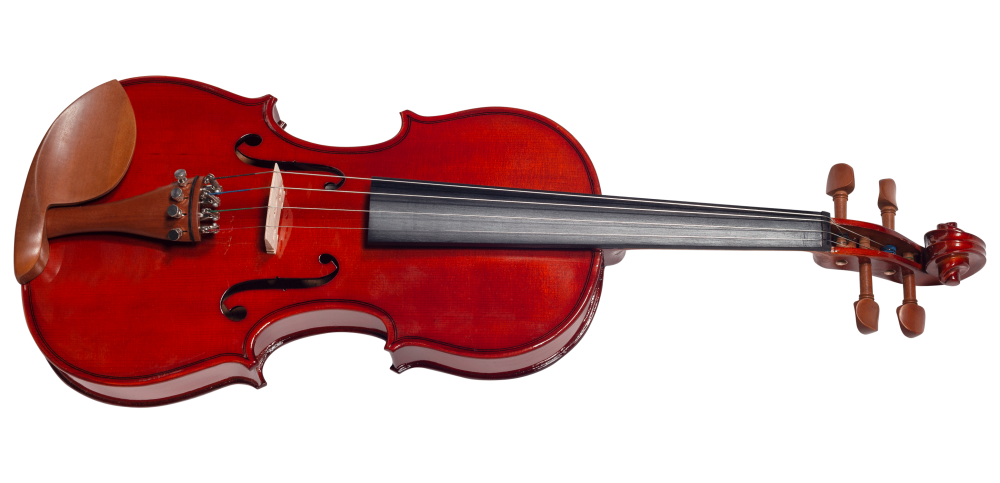 LINHA BOXWOOD SERIES Violino 4/4 - VNM146