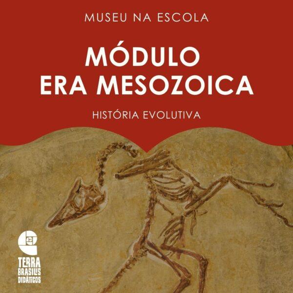 Coleção Museu na Escola: Módulo Era Mesozoica